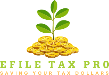 EfileTax Pro